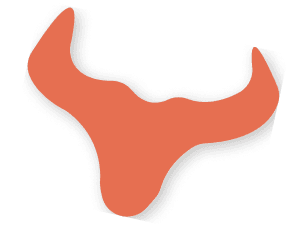 Bull Element
